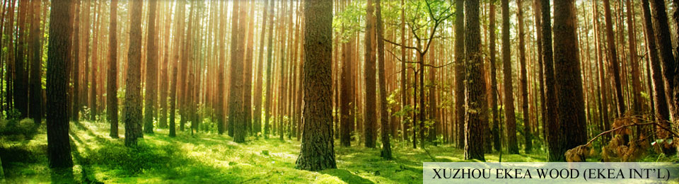 EKEA WOOD